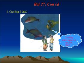 Bài giảng Tự nhiên xã hội Bài 27: Con cá