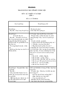 Bài soạn thao giảng cấp huyện môn Tự nhiên và xã hội lớp 1 bài 22: Cây rau