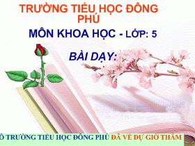 Môn Khoa học Lớp 5: Sự sinh sản của thực vật có hoa