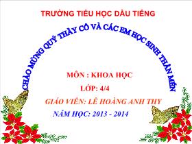 Bài giảng Khoa học 4: Âm thanh trong cuộc sống ( tiếp theo )