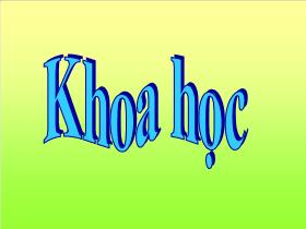 Bài giảng Khoa học 4 Bài 60: Nhu cầu không khí của thực vật