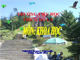 Bài giảng Khoa học 4: Trao đổi chất ở động vật