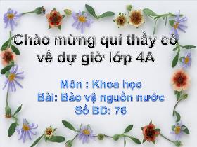 Bài giảng Khoa học: Bảo vệ nguồn nước