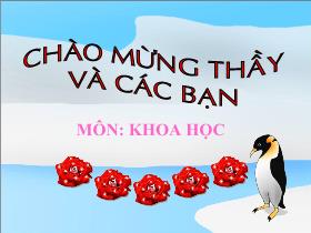 Bài giảng Khoa học: Phòng tránh tai nan giao thông đường bộ