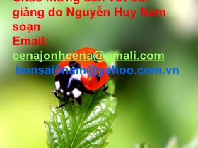 Bài giảng môn Lịch sử lớp 4 - Nhà Nguyễn thành lập