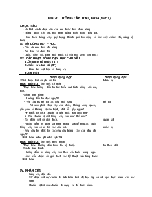 Giáo án Kỹ thuật 4 - Bài 20: Trồng cây rau, hoa (tiết 1)