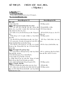 Giáo án Lớp 4 - Kĩ thuật: Chăm sóc rau, hoa. ( tiếp theo )