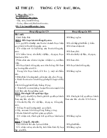 Giáo án Lớp 4 - Kĩ thuật: Trồng cây rau, hoa