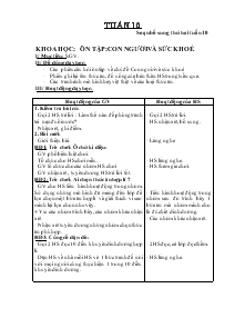 Giáo án Lớp 4 - Tuần 10 - Khoa học: Ôn tập: Con người và sức khoẻ