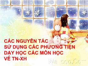 Giáo án Lớp 4 môn Mĩ thuật - Các nguyên tắc sử dụng các phương tiện dạy học các môn học về tự nhiên - xã hội