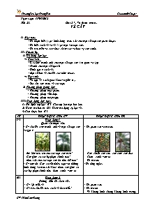 Giáo án lớp 4 môn Mĩ thuật - Tiết 27: Bài 27: Vẽ theo mẫu: Vẽ cây