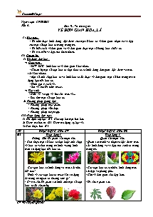 Giáo án lớp 4 môn Mĩ thuật - Tiết 9: Bài 9: Vẽ trang trí: Vẽ đơn giản hoa, lá (Tiếp theo)