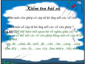 Giáo án lớp 5 môn Luyện từ và câu: Liên kết các câu trong bài bằng cách lặp từ