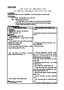 Giáo án lớp 5 Tuần 27 môn Khoa học: Cây con có thể mọc lên từ những bộ phận nào của cây me