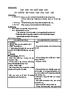 Giáo án lớp 5 Tuần học thứ 27 môn Khoa học: Cây con có thể mọc lên từ những bộ phận nào của cây me