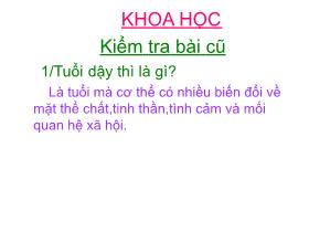 Bài giảng môn Khoa học khối 5 - Bài 22: Tre, mây, song