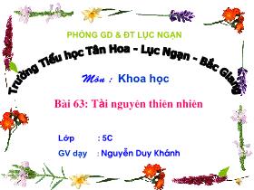 Bài giảng môn Khoa học lớp 5 - Bài 63: Tài nguyên thiên nhiên