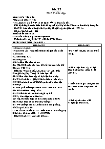 Giáo án môn học Địa lý khối 5 - Bài 7: Ôn tập