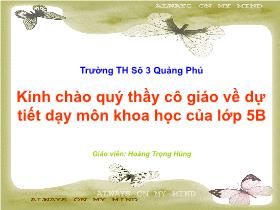 Giáo án môn Khoa học lớp 5 - Bài 18: Phòng tránh bị xâm hại