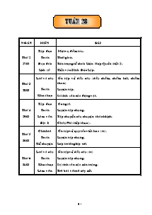 Giáo án Tổng hợp môn học lớp 5 - Tuần 28