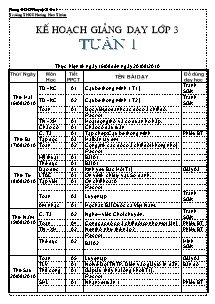 Kế hoạch giảng dạy Lớp 3 - Cả năm