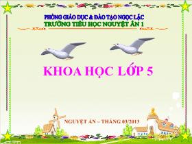 Thiết kế bài giảng môn học Khoa học khối 5 - Bài: Cây con có thể mọc lên từ một số bộ phận của cây mẹ