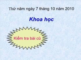 Thiết kế bài giảng môn học Khoa học khối 5 - Phòng bệnh viêm não