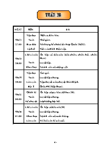 Giáo án dạy bài Lớp 5 - Tuần 28