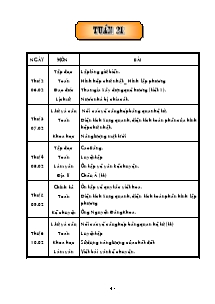 Thiết kế tổng hợp môn học khối lớp 5 - Năm học 2005 - 2006 - Tuần 21