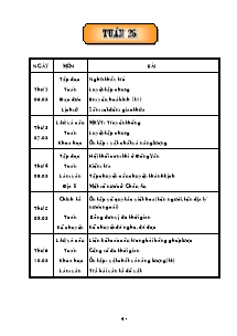 Thiết kế tổng hợp môn học khối lớp 5 - Năm học 2005 - 2006 - Tuần 25