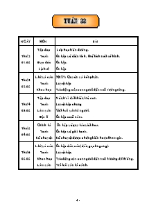 Thiết kế tổng hợp môn học khối lớp 5 - Năm học 2005 - 2006 - Tuần 33