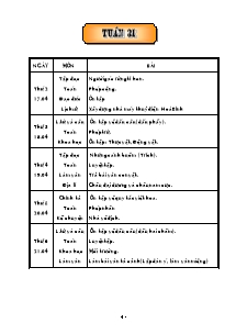 Thiết kế tổng hợp môn học khối lớp 5 - Năm học 2005 - 2006 - Tuần 31