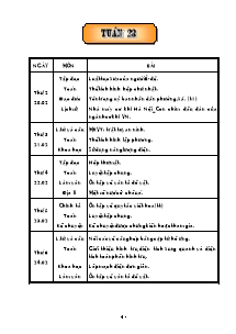 Thiết kế tổng hợp môn học khối lớp 5 - Năm học 2005 - 2006 - Tuần 23