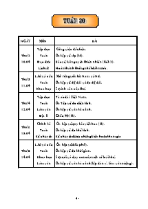 Thiết kế tổng hợp môn học khối lớp 5 - Năm học 2005 - 2006 - Tuần 30