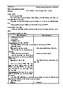 Giáo án môn học lớp 1, 2, 3, 4, 5 - Tuần 16