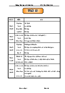 Giáo án Lớp 5 Tuần 32 - Trường Tiểu học số 1 Nhơn Hậu